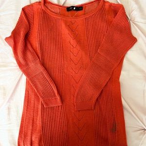 Express light weight sweater